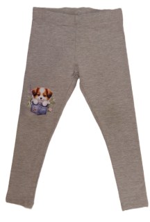 legíny